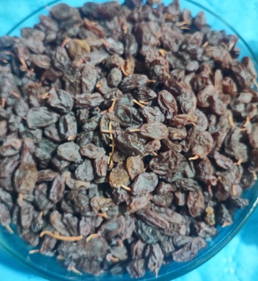 خرید کشمش آفتابی